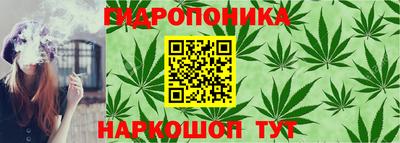 прущие грибы Абинск