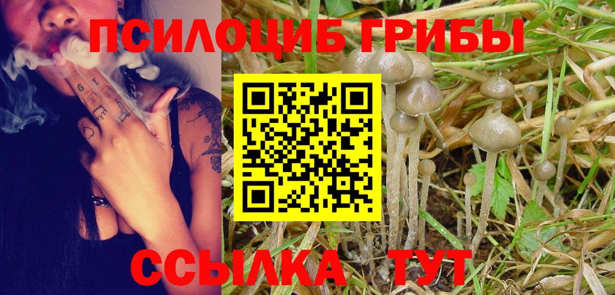 наркота  Псилоцибиновые грибы Psilocybine cubensis  Вход с VPN  Алексеевка 
