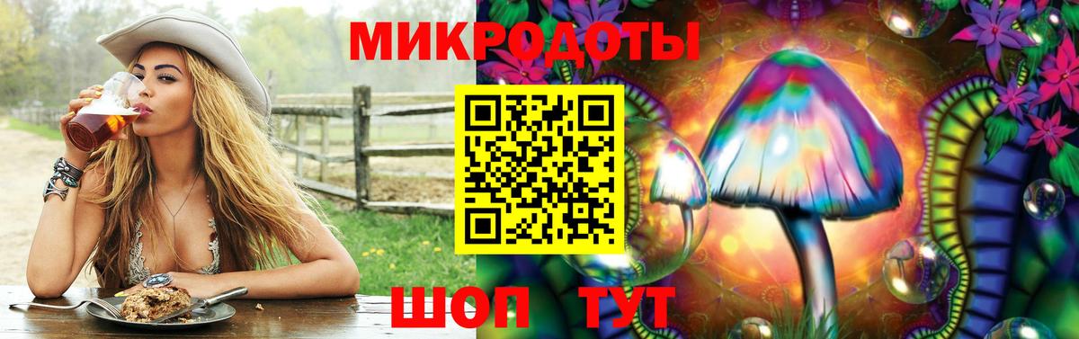 Галлюциногенные грибы Psilocybe Алексеевка